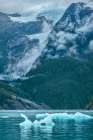 Glacial ice-iceberg-LeConte Bay-Petersburg-Alaska-USA Art Print